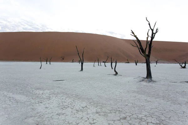 Вид Пустелю Мертвих Плея Намібії — стокове фото