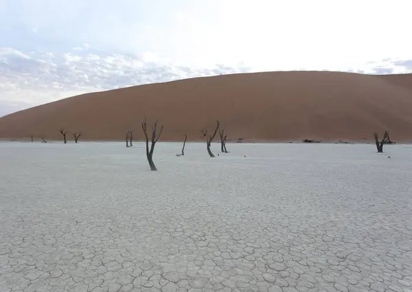 Vista Del Desierto Deadvlei Namibia — Foto de Stock