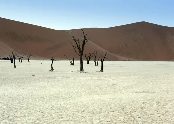 Vista Del Desierto Deadvlei Namibia — Foto de Stock