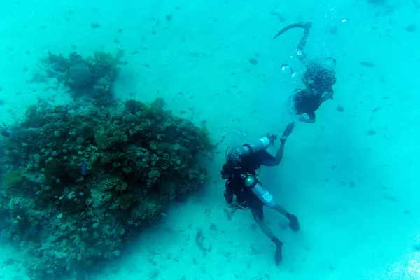 Sharm Sheik Egito Abril 2022 Turistas Mergulhando Recife Coral — Fotografia de Stock