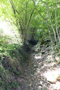 Lunigiana, İtalya 'daki Francigena yolu üzerinden görüntüleme