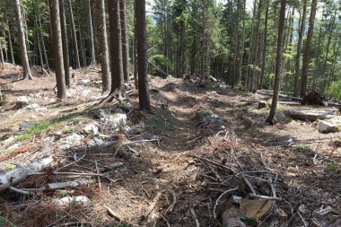 Asiago platosunda bir manzara, İtalya