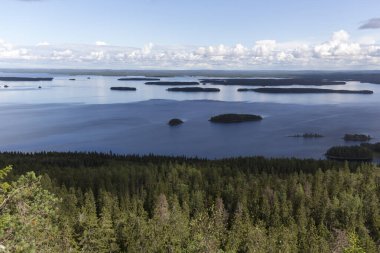 Yaz boyunca Finlandiya 'da göl manzarası