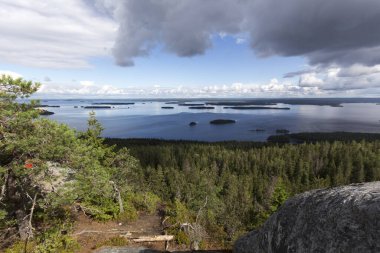 Yaz boyunca Finlandiya 'da göl manzarası