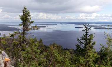Yaz boyunca Finlandiya 'da göl manzarası