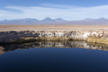 Şili 'nin kuzeyindeki Chaxa gölünün manzarası
