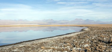 Şili 'nin kuzeyindeki Chaxa gölünün manzarası