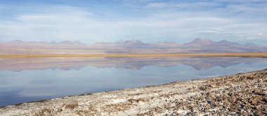 Şili 'nin kuzeyindeki Chaxa gölünün manzarası