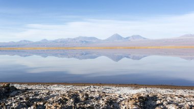 Şili 'nin kuzeyindeki Chaxa gölünün manzarası