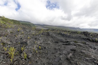 La Reunion, Fransa 'daki volkanik arazi manzarası
