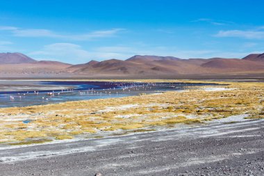 Bolivya 'daki renkli göl manzarası