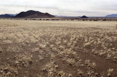 Namibya 'da güzel bir manzara