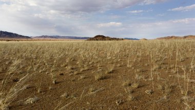 Namibya 'da güzel bir manzara
