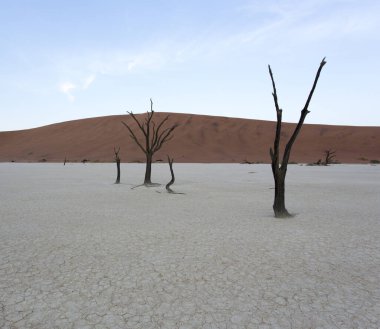 Deadvlei, Namibya 'da güzel bir manzara