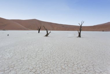 Deadvlei, Namibya 'da güzel bir manzara
