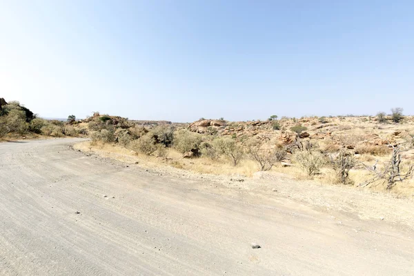 Güney Afrika 'daki Mapungubwe Ulusal Parkı' nın manzarası