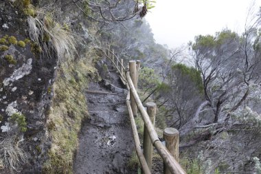 La Reunion 'daki Piton de la Fournaise yolunun görüntüsü