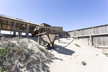 Pomona, Namibya - 15 Ağustos 2018: Pomona terk edilmiş elmas kasabası Namibya