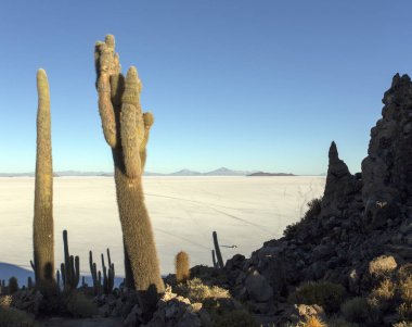 Uyuni, Bolivya 'daki balık adasından bir manzara