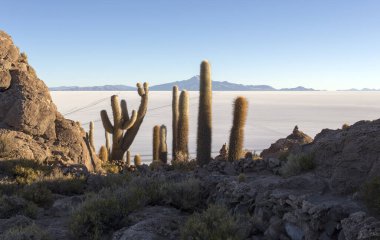 Uyuni, Bolivya 'daki balık adasından bir manzara
