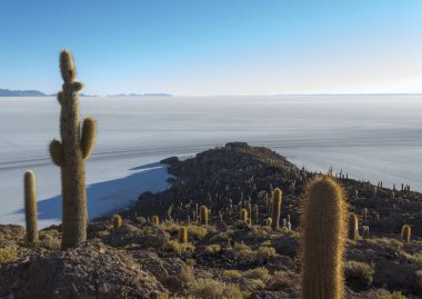 Uyuni, Bolivya 'daki balık adasından bir manzara