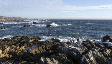 Okyanus kıyısının manzarası, Şili