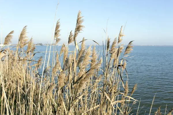 Comacchio 'da kışın güzel bir manzara, İtalya