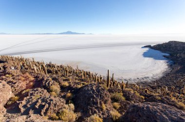 La isla del Pescado Uyuni, Bolivya manzarası