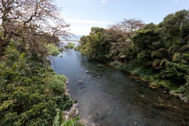 View of small river  arriving at sea in La Reunion clipart