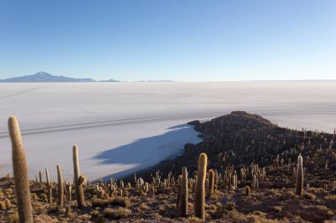 Uyuni, Bolivya 'da tuz düzlüğünün bir fotoğrafı