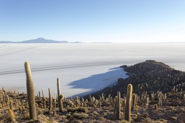 Uyuni, Bolivya 'da tuz düzlüğünün bir fotoğrafı