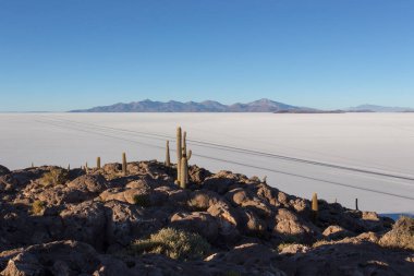 Uyuni, Bolivya 'da tuz düzlüğünün bir fotoğrafı