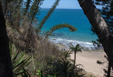 Yeni Kaledonya 'daki kıyı manzarasının fotoğrafı.