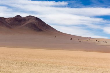 Bolivya 'daki Dali Vadisi manzarası