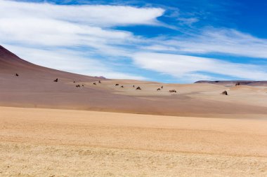 Bolivya 'daki Dali Vadisi manzarası