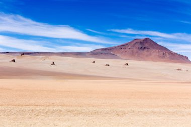 Bolivya 'daki Dali Vadisi manzarası