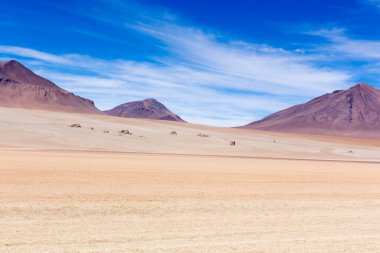 Bolivya 'daki Dali Vadisi manzarası