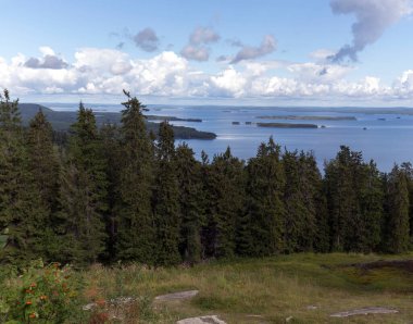 Finlandiya 'daki göl bölgesinin fotoğrafı