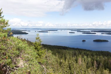 Finlandiya 'daki göl bölgesinin fotoğrafı