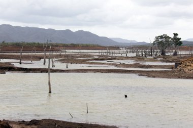 Yeni Kaledonya 'daki Blue River İl Parkı' nın manzarası