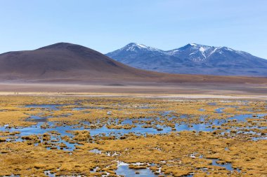 Bolivya 'nın göl bölgesinde güzel bir manzara.