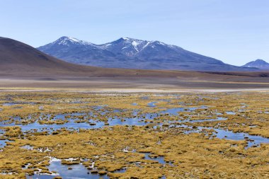 Bolivya 'nın göl bölgesinde güzel bir manzara.