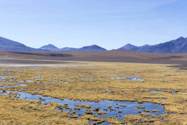 Bolivya 'nın göl bölgesinde güzel bir manzara.