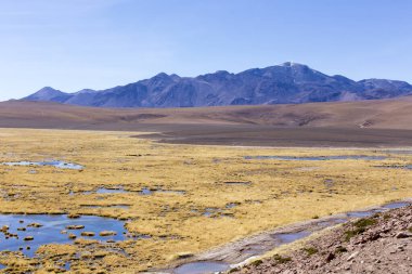 Bolivya 'nın göl bölgesinde güzel bir manzara.