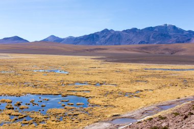 Bolivya 'nın göl bölgesinde güzel bir manzara.