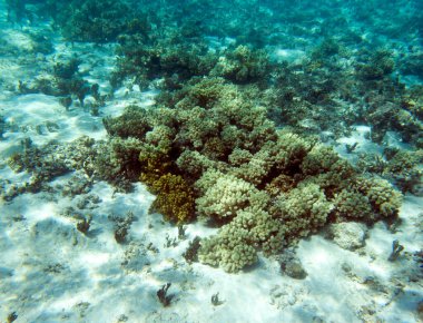Yeni Kaledonya 'daki lagünün manzara fotoğrafı