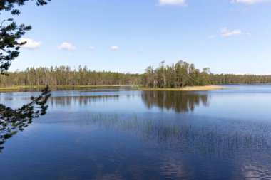 Finlandiya 'daki göl manzarasının fotoğrafı