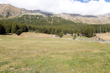 Hughson, İtalya - 20 Eylül 2024: Yaz sonunda