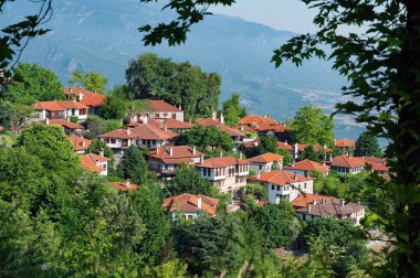 Yunanistan 'ın kuzeyindeki Palaios Panteleiomonas köyündeki geleneksel mimarinin taş evlerini gösteren bahar manzarası