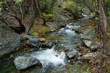 Yunanistan 'ın kuzeyindeki Paiko Dağı' ndaki dere ve sonbahar yeşillikleriyle manzara